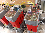 人工光合成研究センター見学模様02 人工光合成研究センター見学模様02